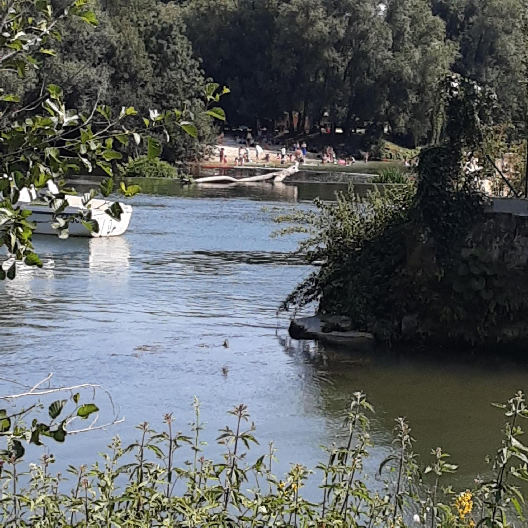 Annexe Du Pont De La Charente Apartment Châteauneuf-sur-Charente Екстериор снимка