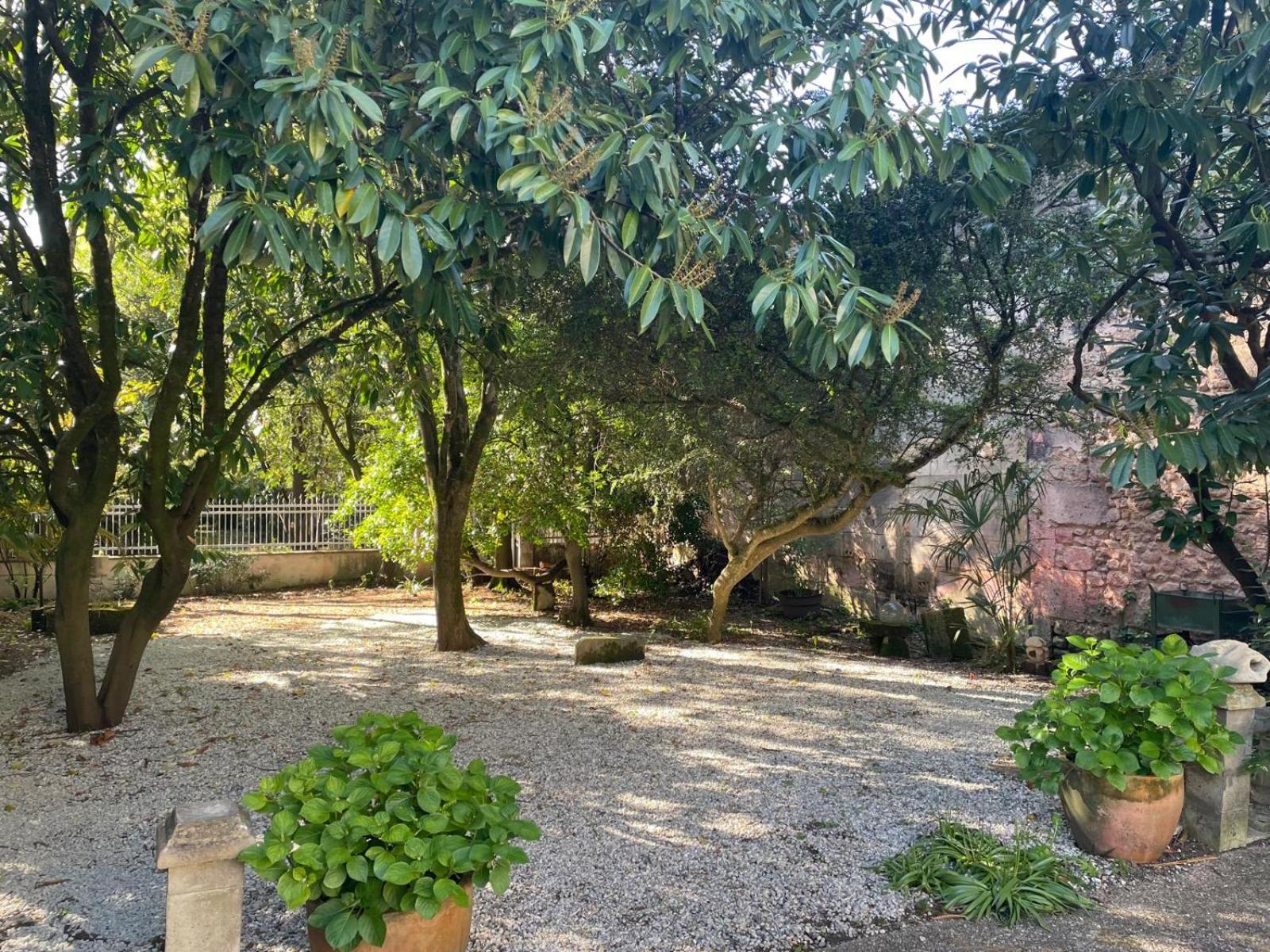 Annexe Du Pont De La Charente Apartment Châteauneuf-sur-Charente Екстериор снимка