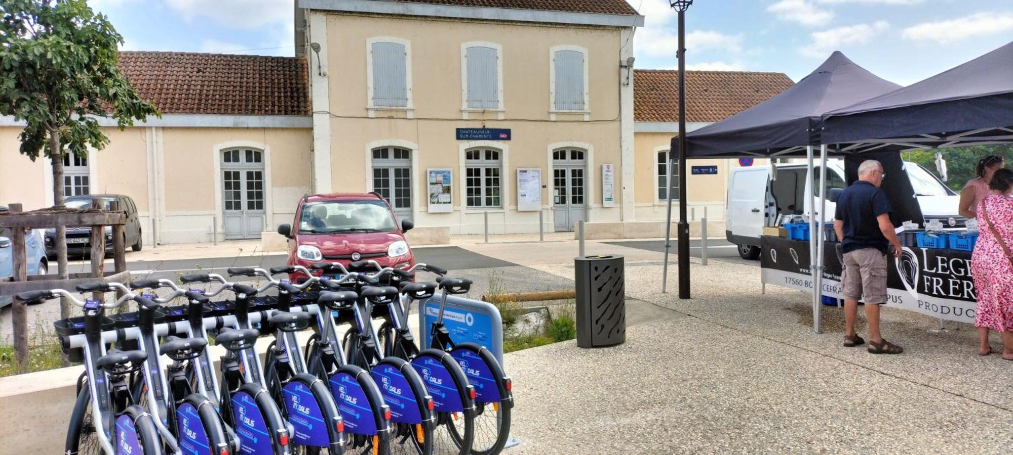 Annexe Du Pont De La Charente Apartment Châteauneuf-sur-Charente Екстериор снимка